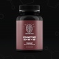  Mentor Mind Powerful Coenzyme B 120 